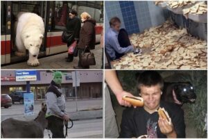 هیچ توضیح قانع‌کننده‌ای برای این عکس‌‌ها وجود ندارد