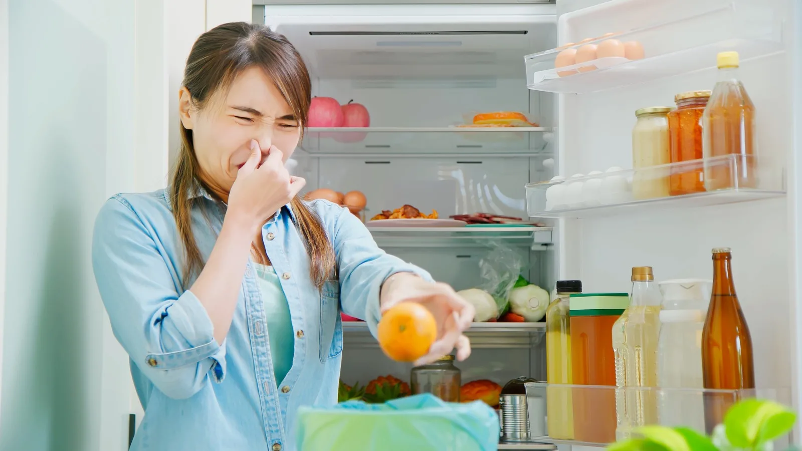 علت کپک زدن غذا در یخچال+راهکار ها برای رفع آن