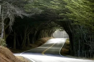 5 تا از جاهای دیدنی تالش؛ جایی میان آسمان و دریا