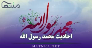 احادیث محمد رسول الله / 40 پیام آسمانی و آموزنده از پیامبر اکرم (ص)